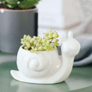 <span class=keywords><strong>Pot</strong></span> de fleurs en céramique, plante succulente, pots en forme d'animaux, pots de fleurs pour la maison, le bureau, le jardin, la décoration de bureau, le bonsaï - Product Image 5