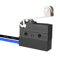 Micro-interrupteur étanche IP67 personnalisé Mini-interrupteur à levier à rouleau Micro-interrupteur long étanche avec fils/borne Micro-interrupteur