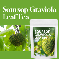 Thé aux feuilles de corossol naturelles Jiaoming OEM, feuilles de corossol pures, marque privée, sachets de thé santé à base de plantes, vente chaude