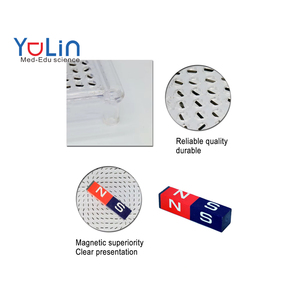 เครื่องสาธิตการเหนี่ยวนำแม่เหล็กแบบสามมิติ ยี่ห้อ New Yulin พร้อมแม่เหล็กถาวร สำหรับการทดลองฟิสิกส์สนามแม่เหล็กไฟฟ้า - Product Image 1