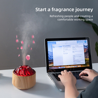 Humidificateur d'air portable à charbon de bois volcanique, diffuseur d'arômes flamme pour la maison