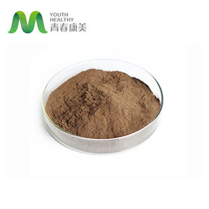 유기농 코리올루스 베르시컬러 버섯 추출물 분말 식품 등급 허브 추출물 드럼 포장 - Product Image 2