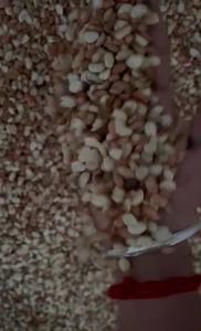 Graines d'arachide naturelles de haute qualité, qualité d'exportation, approvisionnement en vrac pour les produits agricoles, prix de gros le plus vendu - Product Image 3