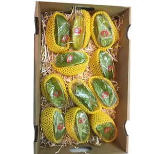 High Quality Packaging Foam Net Cover Colorful Mango EPE Fruit Foam Net