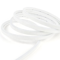 Bande LED néon en silicone RVB double face électro-plaquée 12V/24V 6*12mm étanche RVB couleur magique LED 3535 pour l'éclairage paysager