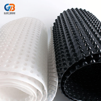 Planche de drainage concave en plastique HDPE durable et imperméable, adaptée aux tunnels, sous-sols, fondations, jardins et drainage des barrages.