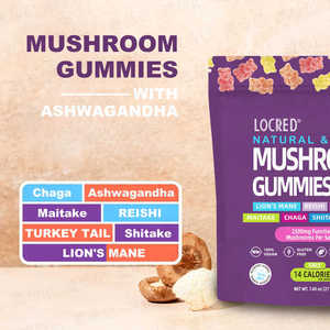 Gomitas de setas OEM/ODM: Suplemento cerebral nootrópico de setas de REISHI CHAGA de Melena De León vegetariana - Product Image 6