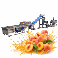 Mesin Produksi Jus Lengkap Otomatis Penuh untuk Penyortiran, Pencucian, Penghancuran, Pengisian, dan Pengemasan Buah
