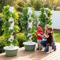 Système de culture hydroponique vertical haute densité sans sol pour la production commerciale de légumes-feuilles en serre