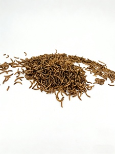 Vendita all'Ingrosso di Vermi Essiccati, <span class=keywords><strong>Cibo</strong></span> Secco <span class=keywords><strong>per</strong></span> Alimentazione di Uccelli Selvatici, Piccioni e <span class=keywords><strong>Pappagalli</strong></span> - Product Image 1