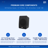 HKNC Haut-parleur large bande noir mat 6,5 pouces, grille perforée à couverture complète, design de boîtier minimaliste, coins arrondis, audio haute résolution