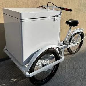 Kem ba bánh 68 lít Tủ đông với năng lượng mặt trời hệ thống điện Ice Cream giỏ hàng Ice-Lolly xe đạp
