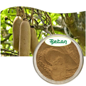 <span class=keywords><strong>Poudre</strong></span> d'extrait <span class=keywords><strong>de</strong></span> fruit <span class=keywords><strong>de</strong></span> <span class=keywords><strong>Kigelia</strong></span> Africana pure et naturelle pour soins <span class=keywords><strong>de</strong></span> la peau, vente en gros, produit très demandé - Product Image 2