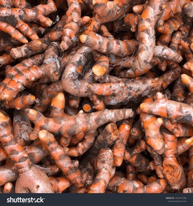 <span class=keywords><strong>รีวิว</strong></span>ที่ดีที่สุดขมิ้นท่องเที่ยวผู้หญิง<span class=keywords><strong>ม</strong></span>อยเจอร์ไร<span class=keywords><strong>เซ</strong></span>อร์ฉลากส่วนตัวผลิตภัณฑ์ดูแลผิวครีมอินทรีย์ต่อต้านริ้วรอยชุดดูแลผิวไวท์เทนนิ่ง - Product Image 6