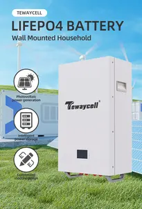 Lithium 48V 51.2V 200Ah 10Kwh Lifepo4 Power Wall Mounted Inverter Battery Pack Solar Energy System