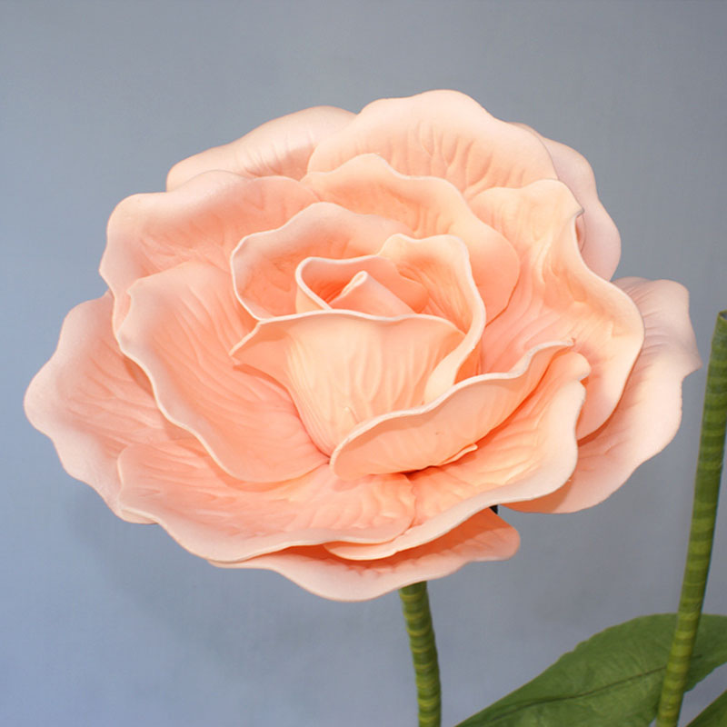 pink 30cm