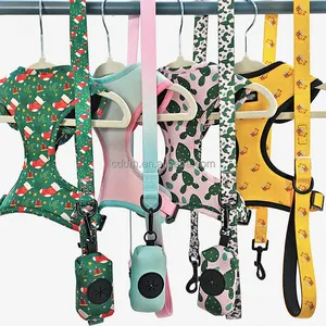 OKKPETS Low MOQ OEM/ODM Hot Sale Customized Christmas Dog Harness Printing Dog Harness And Leash Collar Set