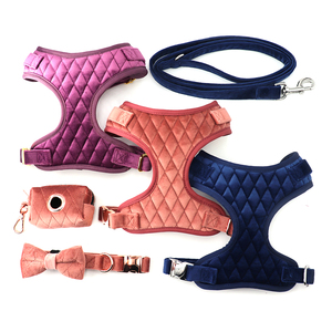 Conjunto de Arnés para Perro de Terciopelo Rojo con Colores y Patrones Personalizados 2025, con Hebillas de Metal Oro Rosa, Apto para Cachorros - Product Image 3