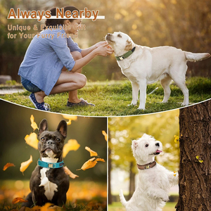 Collar de perro acolchado suave, collares de perro de nailon duraderos, collares ajustables para mascotas para perros pequeños, medianos y grandes, Bulldog Francés - Product Image 6