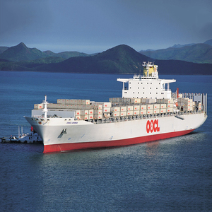 Trasporto Speciale Professionale FCL via Mare Porta a Porta verso la <span class=keywords><strong>Costa</strong></span> <span class=keywords><strong>Est</strong></span> <span class=keywords><strong>degli</strong></span> USA dalla Cina - Product Image 3