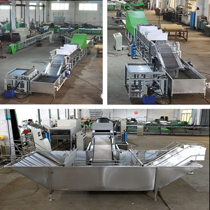 Ventes directes usine : Machine de lavage, cirage et calibrage pour mangues et oranges, Machine de tri de pommes de terre - Product Image 2