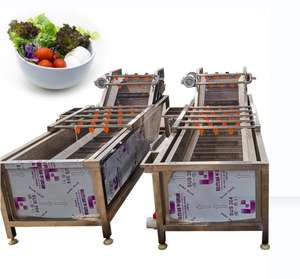 Lavadora de Frutas Multifuncional de Alta Capacidad con Burbujas para Venta al por Mayor - Product Image 2