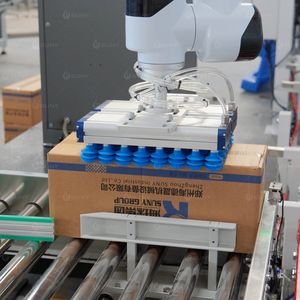 Sistemas Robóticos de Paletización para Cajas y Bolsas, Máquina de Paletización <span class=keywords><strong>Robert</strong></span> - Product Image 3