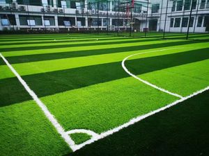 <span class=keywords><strong>W</strong></span> Vorm Voetbal Gras 50Mm Stapel Hoogte Uv Resistent Kunstgras Pe Voor Sport Voetbalveld Grasmat - Product Image 6