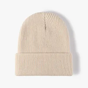 Invierno Mujer al aire libre cálido pelo sombrero pulóver ala ancha decorativa protección para los oídos moda gorros forrados de lana sombrero