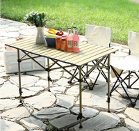 Barbecue portable en acier au carbone pour la vente ambulante, les pique-niques, le camping et l'usage domestique, avec grille pliable réglable en hauteur, mobilier d'extérieur