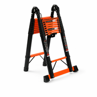Échelle télescopique portable en acier au carbone avec marches réglables robustes, rangement facile pour usage domestique et extérieur, OEM et couleur personnalisée