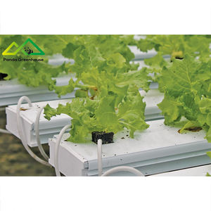 Gran Oferta: Kit de Invernadero Hidropónico Inteligente con Energía Solar, Monitoreo IoT, Diseño Modular, <span class=keywords><strong>Agricultura</strong></span> <span class=keywords><strong>Sostenible</strong></span> - Product Image 5