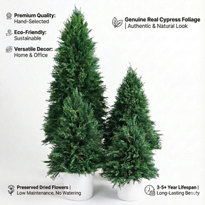 Mini Árbol <span class=keywords><strong>de</strong></span> <span class=keywords><strong>Navidad</strong></span> Artificial para Decoración <span class=keywords><strong>de</strong></span> Mesa en Interiores, Hogar <span class=keywords><strong>y</strong></span> Oficina, Venta al por Mayor - Product Image 1