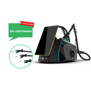 Instrumento de Modelado Corporal por Microondas de 2.45Ghz Onda, Quema Grasa Abdominal, Pérdida de Peso, Adelgazamiento, Escultura Corporal - Product Image 1