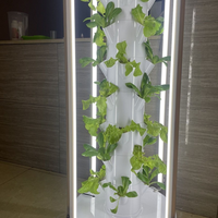 Système d'irrigation par pompe pour ferme hydroponique verticale motorisée automatique Seedafarm, petite tour pour culture intérieure, facile à utiliser, pour la maison et le jardin.