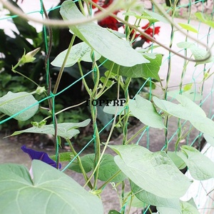 High Quality Gardening Plant Climbing Nylon Plastic Rope <b>Net</b> - Product Image 3