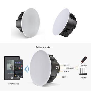 Altavoz de <span class=keywords><strong>Techo</strong></span> Activo CS-1 <span class=keywords><strong>WIFI</strong></span> BT Airplay <span class=keywords><strong>Multiroom</strong></span> AUX USB LAN, Altavoz de <span class=keywords><strong>Techo</strong></span> para Hogar, Oficina, Tienda, Centro Comercial - Product Image 6