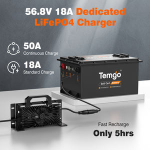 Temgo แบตเตอรี่ LiFePO4 100Ah 48V 51.2V 5000รอบก้อนแบตเตอรี่ลิเธียมไอออน - Product Image 5