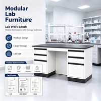 Banc de laboratoire mobile modulaire industriel avec tiroirs, armoires de rangement, poste de travail résistant aux acides pour laboratoire chimique