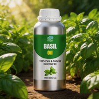 Huile essentielle de basilic en marque privée OEM, aromathérapie, massage et soins de la peau, approvisionnement en vrac
