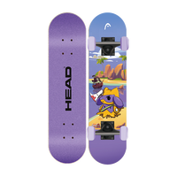 Planche à roulettes longue pour adulte de qualité supérieure, motif dessin animé personnalisé, en bois, 4 roues, planche de surf portable, vente en gros directe usine