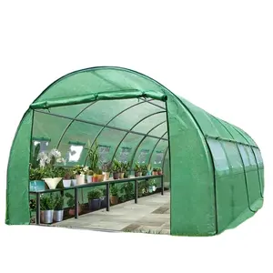 Greenhouse fabricantes design de casas verdes planta natureza casa crescer jardim