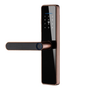 Porte de bureau en bois nouvelle génération cheveux nuage Option de stockage de données mince serrure de porte en aluminium intelligente Double pour <span class=keywords><strong>appartement</strong></span> - Product Image 4
