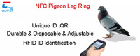 Bague de patte de pigeon RFID avec impression de code QR, 13,56 MHz, NFC, bague de patte d'oiseau RFID, étiquette en plastique pour volaille, bague de course de pigeon
