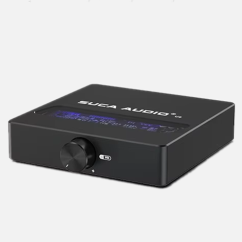 Ultra Slim 300W High Power HiFi Amplifier Compact Home Audio Power Amp for Bookshelf Speakers