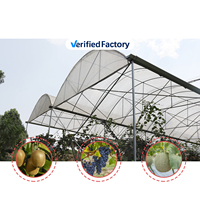 Serre multi-travées de type tunnel en polyfilm pour l'agriculture, abri de pluie pour la culture de légumes et de fruits en zone tropicale