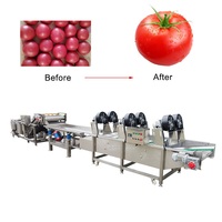 Efficiënte automatische transportband voor het reinigen van bladgroenten, fruitwasmachines, luchtdroog- en sorteermachines