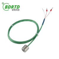 Sensor Rtd kelas 1/3B akurasi tinggi, magnetik kuat antiair Pt100 Pt1000