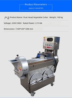 Commerciële, frequentiegestuurde, automatische groentesnijder/slicer met één mes voor het snijden van fruit en bittere groenten in reepjes.
