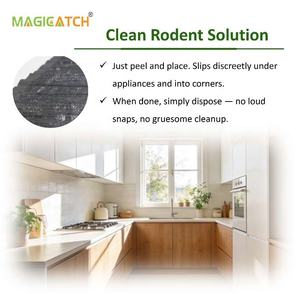 Trampas de <span class=keywords><strong>pegamento</strong></span> <span class=keywords><strong>para</strong></span> ratones extra <span class=keywords><strong>grandes</strong></span>, ecológicas, de 300 piezas/caja, con <span class=keywords><strong>pegamento</strong></span> resistente al agua <span class=keywords><strong>para</strong></span> granjas, invernaderos y ganado. - Product Image 4